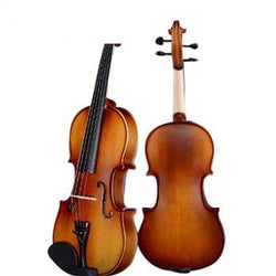 D Z Strad Violin Model 100 with Solid Wood 4/4 Full Size with Case, Bow, and Rosin (full-size)