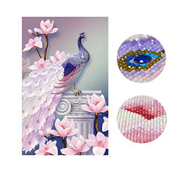 Trayosin DIY 5D Diamond Painting by Numbers Kits for Adults Full Diamond Large Peacock Embroidery Home Wall Decor
