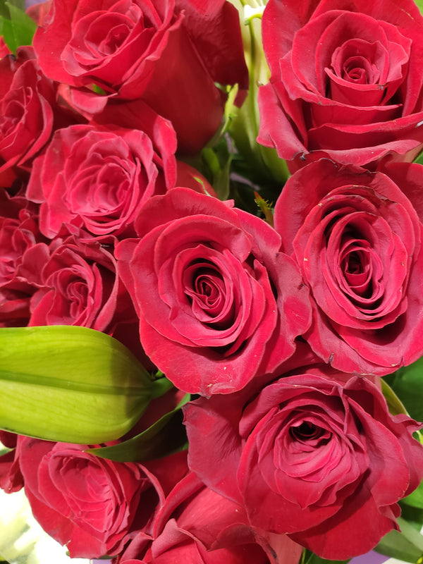 Floral Spring Photography May 2026