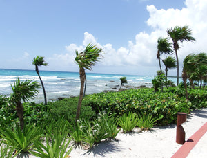 Quintana Roo Beach in Mexico