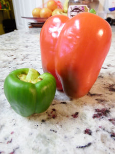 My Progress with the Bell Peppers