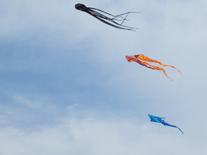 Kites flying in the Sky