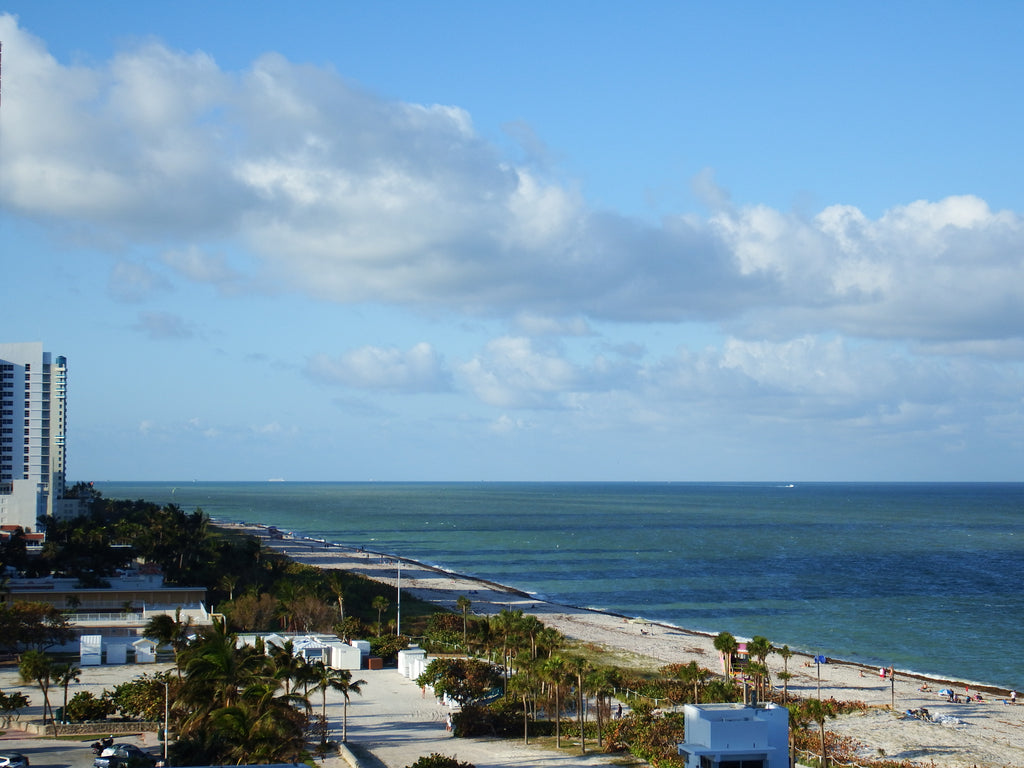 Miami Beach As seen from the Nobu