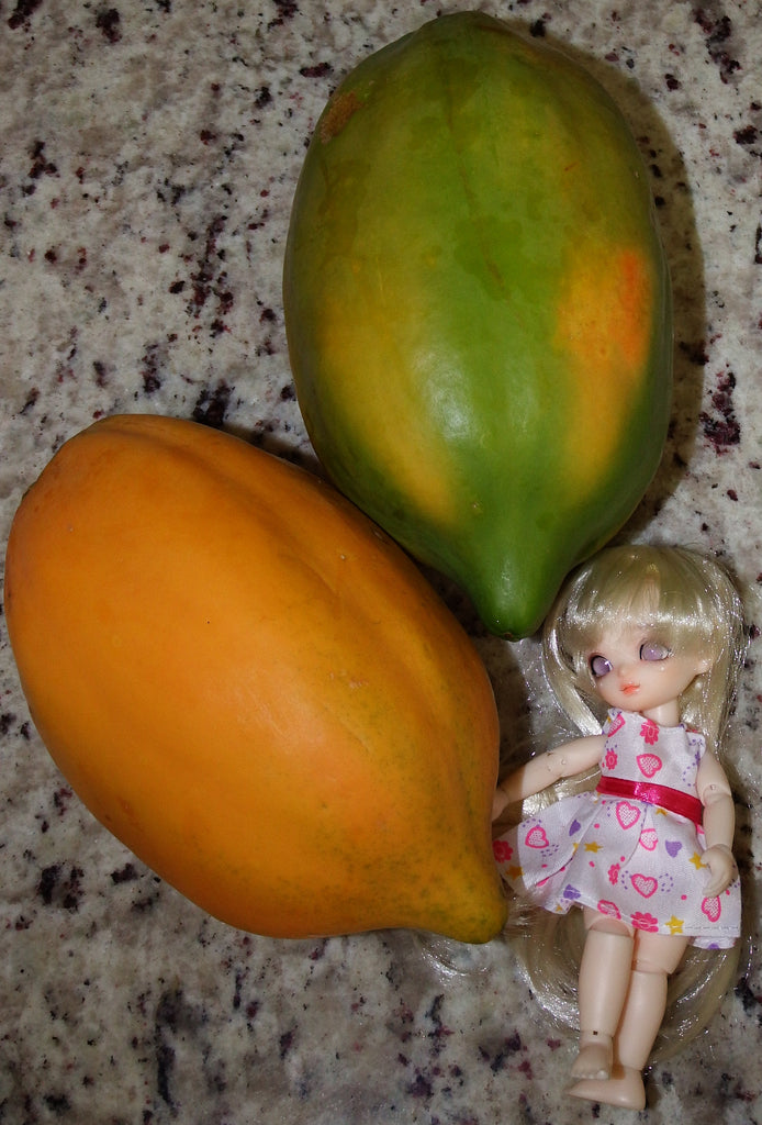 My Papaya Harvests and Smoothie