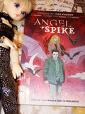 Angel & Spike Vol. 2