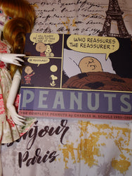 The Complete Peanuts 1993-1994: Vol. 22 Paperback Edition