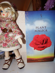 plant magic, book review, artsy sister