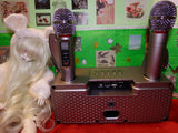 artsy sister, masigno karaoke machine, rabbit