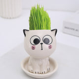 Artsy Mini Cat Shaped Cartoon Ceramic Flowerpot