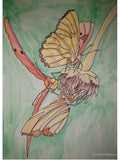 Pattern on Various Items -Julian #Heliconian Butterflies #watercolor painting #cute