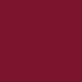 Krylon K02425001  Fusion for Plastic Spray Paint, Satin Burgundy