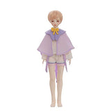 ZDLZDG 1/4 BJD Dolls Body, 41.5cm Ball Jointed SD Doll with Handpainted Makeup and 3D Eyes, Collection Gift for Doll Lovers