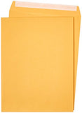 AmazonBasics Catalog Envelopes, Peel & Seal, 10 x 13 Inch, Brown Kraft, 100-Pack