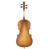 Full Size 4/4 Cello,Handmade Varnish Solid Wood Cello Kit with Bag, Bow, Rosin for Adults Student Beginners Amateurs. (Coffee)