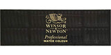 Windsor & Newton Professional Watercolor Paint, Windsor & Newton 109 Color Set, 0.2 fl oz (5 ml) 18809897