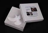 Home Alone Turtle Doves DELUXE 2 Box Version Authentic replicas by John Perry who created the originals for the movie.