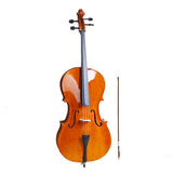 4/4 Acoustic Cello Case Bow Rosin.A Superior Present for Music Enthusiasts. A Superior Present for Music Enthusiasts