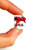 1:12 dollhouse Christmas miniature scene in jar