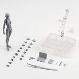 Action Figures Body Kun DX & Body Chan DX PVC Figure Model Drawing for SHF S H Figuarts (Female+Male) with Box