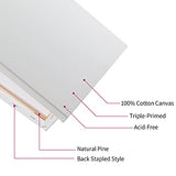Canvas for Painting 11"x14" Pre Stretched Canvas Blank White Value Pack of 6pack,100% Cotton,5/8 Inch for Acrylics,Oils & Other Painting Media.with Display Easel -2pack & Traceless Wall Nails/6 Sets