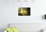 Forest Wall Art Modern Canvas Painting The Picture for Home DecorationTrees Foggy Morning Spring Landscape Print On Canvas Giclee Artwork for Wall Decor
