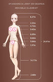 YolvRy BJD Dolls 1/3 - European Classical Style Doll 24 Inch Ball Joint Doll Outfits Shoes Smart Doll, Gift for Girls Doll Lovers (Daisy)