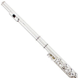 Mendini Closed Hole C Flute with Stand, 1 Year Warranty, Case, Cleaning Rod, Cloth, Joint Grease, and Gloves (Nickel Plated)