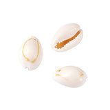 Pandahall 120~150pcs/box White Natural Spiral Shell Beads Sea Shells Beach Seashells Cowrie