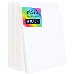 White Stretched Canvas Professional Artist Quality for Canvas Art Painting Set of 6 Pack (12x16inches)