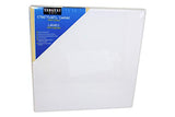 Sargent Art 90-2020 20x20-Inch Stretched Canvas, 100% Cotton Double Primed