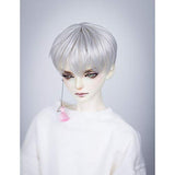 HMANE BJD Doll Wig, Male Short Hair Wig for 1/3 BJD Dolls - Silver White (No Doll)