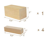 BeaverCraft premium Basswood Wood Carving Block Kit – Whittling Blanks Beginners Soft Wood Carving Blocks Set – Unfinished 5 Large Pieces
