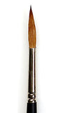 Winsor & Newton Professional Water Colour Brush - Pointed Round #8