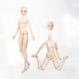 EVA BJD 1/3 BJD Doll 18 Jointed Doll 63cm 18.9" 24.8n for Collect DIY Dolls (Purple Eyes)