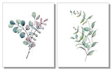 Botanical Prints Wall Art - Watercolor Eucalyptus Leaves - Farmhouse Wall Decor - (Set of 6) - 8x10 - Unframed