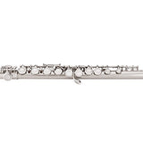Jean Paul USA Silver Plated Flute (FL-220)