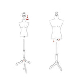 Female Mannequin Torso Body Dress Form with White Adjustable Tripod Stand for Clothing Dress Jewelry Display, White