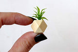 Dollhouse Miniature Flower Wooden Pot. Diorama Room Box Decoration Potted Plant
