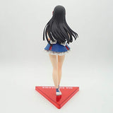 DYHOZZ LoveLive! Sunshine!! Anime Statue Dia Kurosawa Toy Model PVC Anime Decoration Crafts Collection -9in Toy Statue