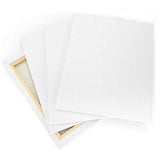 ArtNation 16x20" Stretched White Blank Canvas (Pack of 6) 100% Cotton, 5/8" Profile, Triple Primed Gesso for Painting, Acrylic Pouring, Oil Paint & Wet Art Media