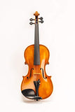 D Z Strad Model 4/4 Full Size 709 Violin Handmade by Prize Winning Luthiers with Bam Case, Bow, Shoulder Rest and Rosin