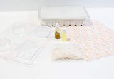 Life of the Party Oatmeal Vanilla Soap Making Kit,