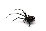 Glass black Widow Figurine Blown Glass Spider hand blown glasses BLACK WIDOW