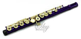 Sky Purple Lacquer Gold Keys Open Hole C Flute with 1 Year Manufacturer Warranty, Guarantee Top Quality Sound with Lightweight Case, Cleaning Rod, Cloth, Joint Grease and Screw Driver