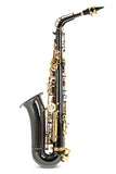 Roy Benson MOD.AS-202K EB Alto Black Lacquered Finish Saxophone with Case