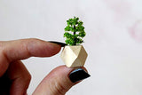 Dollhouse Miniature Flower Wooden Pot. Diorama Room Box Decoration Potted Plant
