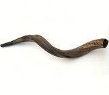 Medium Yemenite Kudu Horn Shofar by Peer Hastam, Made in Israel (30-33 Inches, Natural Finish)