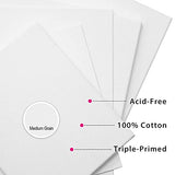 PHOENIX White Blank Cotton Stretched Canvas & Canvas Panel Painting Set - 16x20 Inch Stretched Canvas / 6 Pack & Canvas Boards / 2 Pack - Triple Primed for Oil & Acrylic Paints