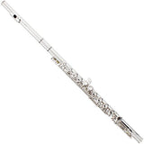 Mendini Closed Hole C Flute with Stand, 1 Year Warranty, Case, Cleaning Rod, Cloth, Joint Grease, and Gloves (Nickel Plated)