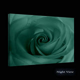 Startonight Canvas Wall Art - White Rose Abstract Flower, Framed 24 x 36 Inches